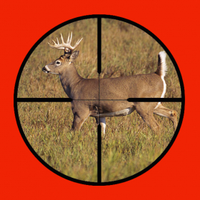 couverture jeu vidéo Buck Hunt Crossing