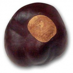 couverture jeu vidéo Buckeye Barrage
