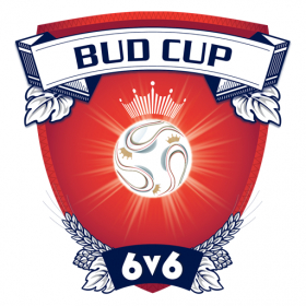 couverture jeu vidéo Budweiser Cup 6v6