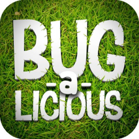 couverture jeu vidéo Bug-a-licious