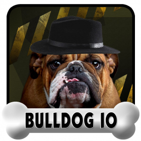 couverture jeu vidéo Bulldog IO