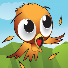couverture jeu vidéo Bungee Birds