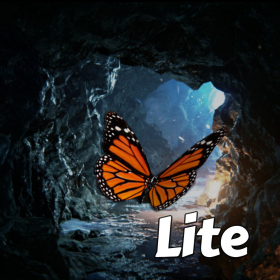 couverture jeu vidéo Butterfly Rush Lite