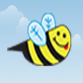 couverture jeu vidéo Buzzy Bee fly