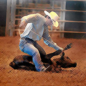 couverture jeu vidéo Calf Roping