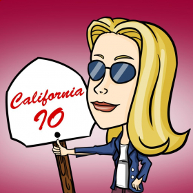 couverture jeu vidéo California IO (opoly)