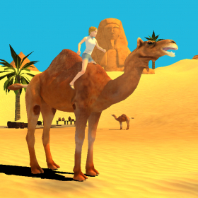 couverture jeux-video Camel Simulator