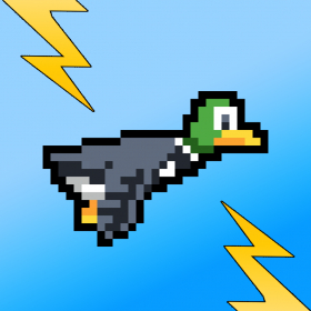 couverture jeu vidéo Canard de Vol Pro