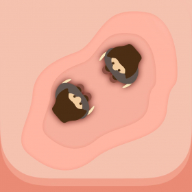couverture jeu vidéo Cannibal Showdown - Récolter et nourrir votre tribu !
