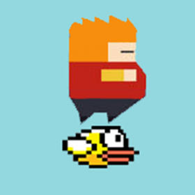 couverture jeu vidéo Captain Bird