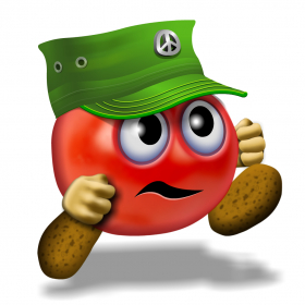 couverture jeu vidéo Captain Tomato & the Magic Gate