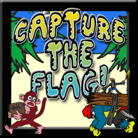 couverture jeu vidéo Capture The Flag!