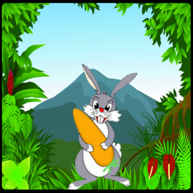 couverture jeu vidéo carrot drop