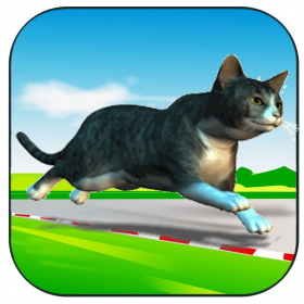 couverture jeu vidéo Cat Chase HD