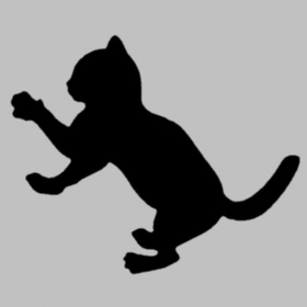 couverture jeu vidéo Cat Fight