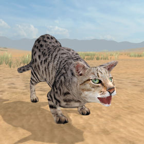 couverture jeu vidéo Cat Survival Simulator