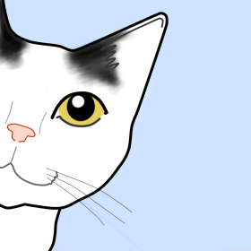 couverture jeu vidéo Cat the Jumping