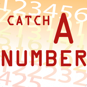 couverture jeu vidéo Catch&Number