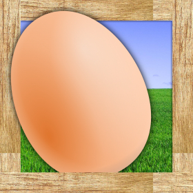 couverture jeu vidéo Catch The Egg: the addicting, cool and fun game of skill in the farm
