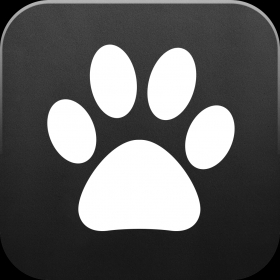 couverture jeu vidéo Catpad - Cats love to catch the mouse