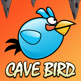 couverture jeu vidéo Cave Birds