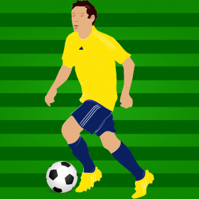 couverture jeu vidéo Champion du football