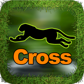 couverture jeu vidéo Cheetah Cross Game HD Lite