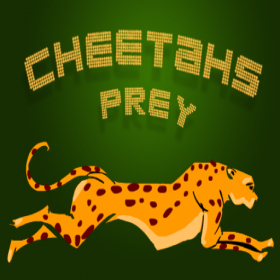 couverture jeu vidéo Cheetahs Prey