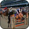 couverture jeu vidéo cheval courir course et saut - cheval de saut cascades 3D, libre HD jeu de course