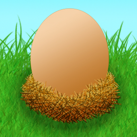 couverture jeu vidéo Chick Hatcher