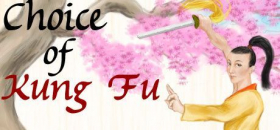 couverture jeu vidéo Choice of Kung Fu