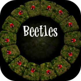 couverture jeu vidéo Circle Beetle