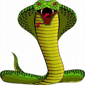 couverture jeu vidéo Cobra Solitaire