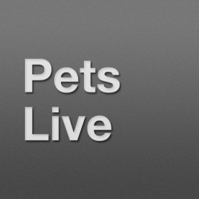 couverture jeu vidéo CodeMachine for Pets Live
