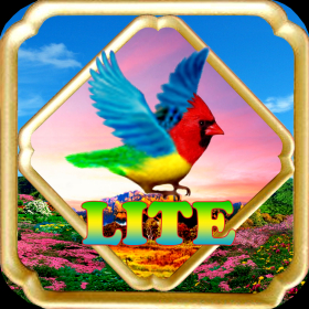 couverture jeu vidéo Colorful Bird Lite