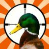couverture jeu vidéo Cool Adventure Duck Hunter