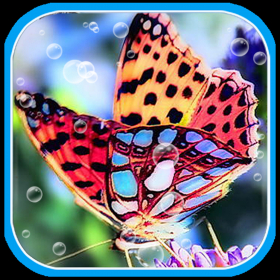 couverture jeu vidéo Crazy Animal Picture Free