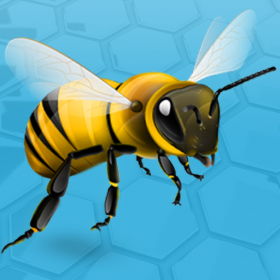 couverture jeu vidéo Crazy Bee