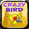couverture jeu vidéo Crazy Bird - Go Far As You Can