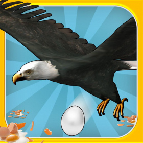 couverture jeu vidéo Crazy Birds