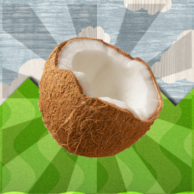 couverture jeu vidéo Crazy Coconut