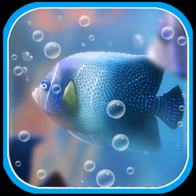couverture jeu vidéo Crazy Fish Picture Free