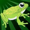 couverture jeu vidéo Crazy Frog Rendements Des Cavaliers - nouvelle fantaisie saut jeu de course