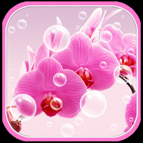couverture jeu vidéo Crazy Picture Free