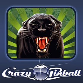 couverture jeu vidéo Crazy Pinball Jungle