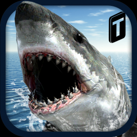 couverture jeux-video Crazy Shark 3D Sim