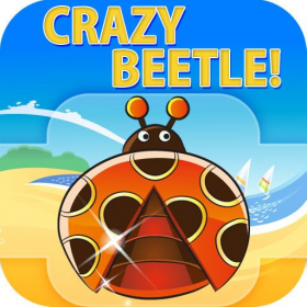 couverture jeu vidéo Crazy