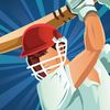 couverture jeu vidéo Cricket Défi Pro - Cricket Wicket Challenge Pro