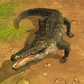 couverture jeu vidéo Crocodile Attack 3D Pro