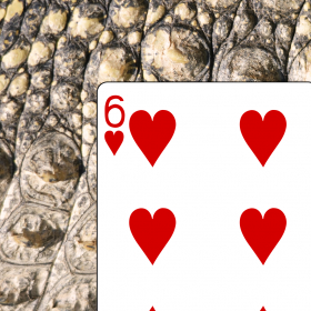 couverture jeu vidéo Cruel Solitaire - Classic